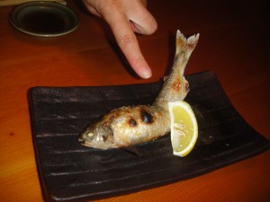 DSC02550